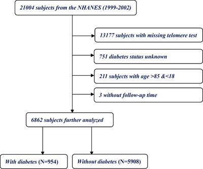 Independent and joint effect of relative telomere length and type 2 diabetes on all-cause mortality in American adults